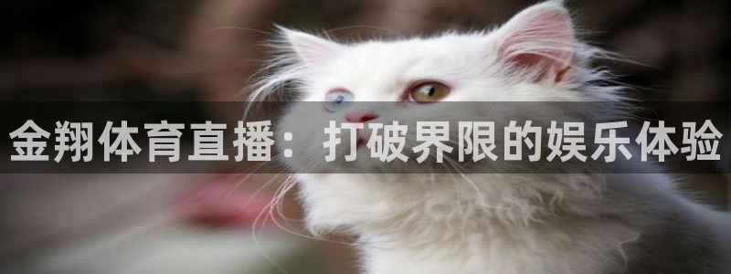 jrkan纬来直播nba：金翔体育直播：打破界限的娱乐体验