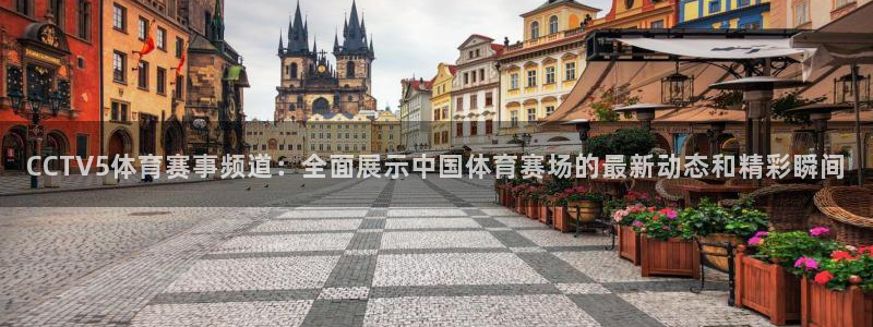 jrkankan体育直播：CCTV5体育赛事频道：全面展示中国体育赛场的最新动态和精彩瞬间