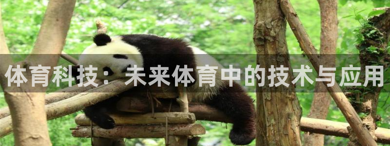 jrkan直播篮球：体育科技：未来体育中的技术与应用