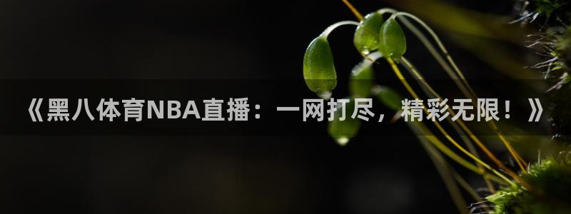 jrkankan直播体育：《黑八体育NBA直播：一网打尽，精彩无限！》