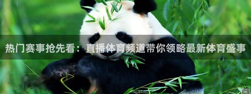jrkan直播体育网nba：热门赛事抢先看：直播体育频道带你领略最新体育盛事