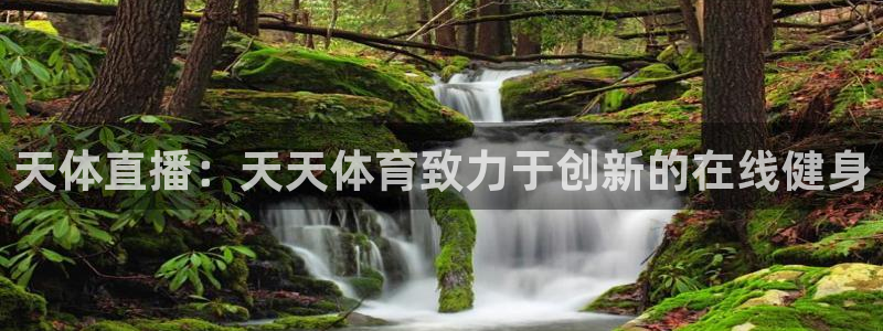 jrkan直播：天体直播：天天体育致力于创新的在线健身