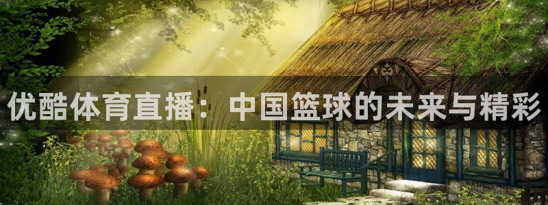 jrkan直播nba在线观看：优酷体育直播：中国篮球的未来与精彩