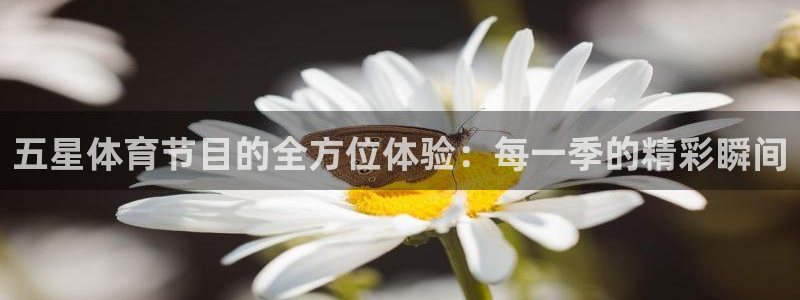 篮球直播jrkan：五星体育节目的全方位体验：每一季的精彩瞬间