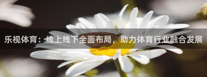 jrkankan体育直播：乐视体育：线上线下全面布局，助力体育行业融合发展