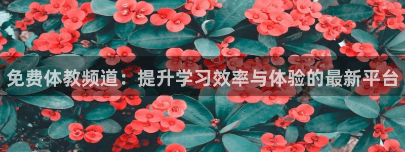 jrkan篮球直播：免费体教频道：提升学习效率与体验的最新平台
