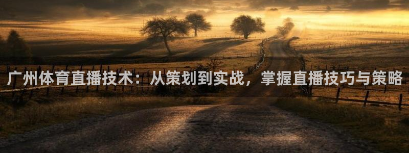 nbajrkan直播：广州体育直播技术：从策划到实战，掌握直播技巧与策略