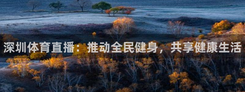 jrkan体育在线直播免费观看：深圳体育直播：推动全民健身，共享健康生活