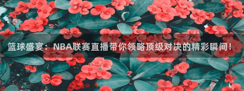 jrkan.com直播体育：篮球盛宴：NBA联赛直播带你领略顶级对决的精彩瞬间！