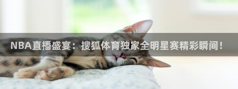 jr看球直播：NBA直播盛宴：搜狐体育独家全明星赛精彩瞬间！