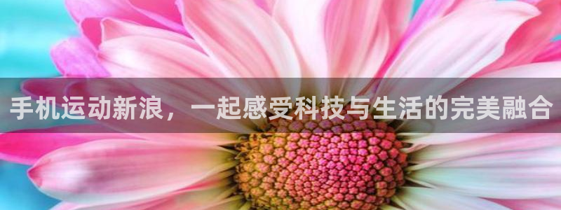 jrkan直播nba在线直播：手机运动新浪，一起感受科技与生活的完美融合